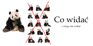 Read more about the article Co widać i czego nie widać
