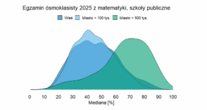 Read more about the article Egzamin ósmoklasisty 2025